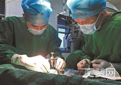 男子移植猪眼角膜,眼角膜,爽赞网