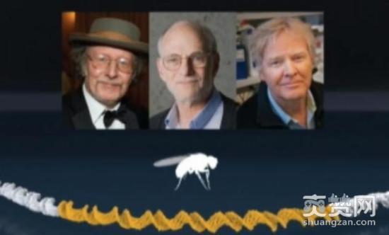 熬夜,手机,诺贝尔奖,熬夜让人变丑变笨,爽赞网